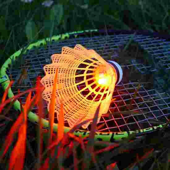 Talbot Torro "Magic Night" Shuttles 4 Talbot Torro "Magic Night" Shuttles - Image 2