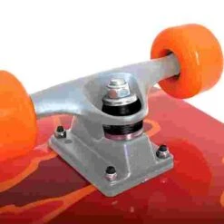 Schildkröt "Kicker 31" Skateboard -Gibbon Store 302 8504 3